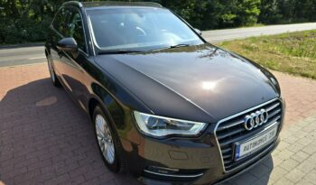 Audi A3 1,6 tdi Sportback 110KM z bardzo niskim przebiegiem 127 tyskm! full