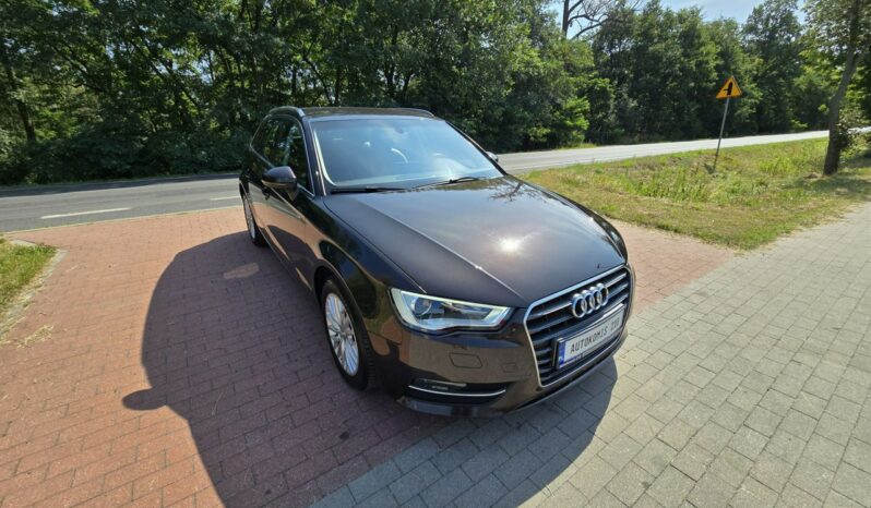 Audi A3 1,6 tdi Sportback 110KM z bardzo niskim przebiegiem 127 tyskm! full