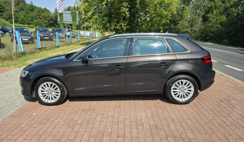 Audi A3 1,6 tdi Sportback 110KM z bardzo niskim przebiegiem 127 tyskm! full