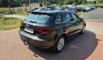 Audi A3 1,6 tdi Sportback 110KM z bardzo niskim przebiegiem 127 tyskm! full