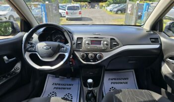 Kia Picanto 1,0 benzynka z bardzo niskim przebiegiem 36 tys km !!! full