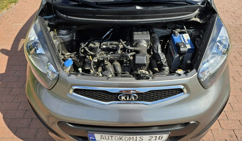 Kia Picanto 1,0 benzynka z bardzo niskim przebiegiem 36 tys km !!! full