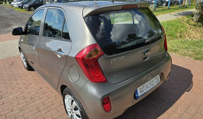 Kia Picanto 1,0 benzynka z bardzo niskim przebiegiem 36 tys km !!! full