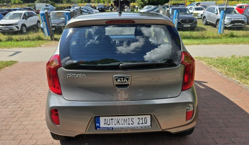 Kia Picanto 1,0 benzynka z bardzo niskim przebiegiem 36 tys km !!! full
